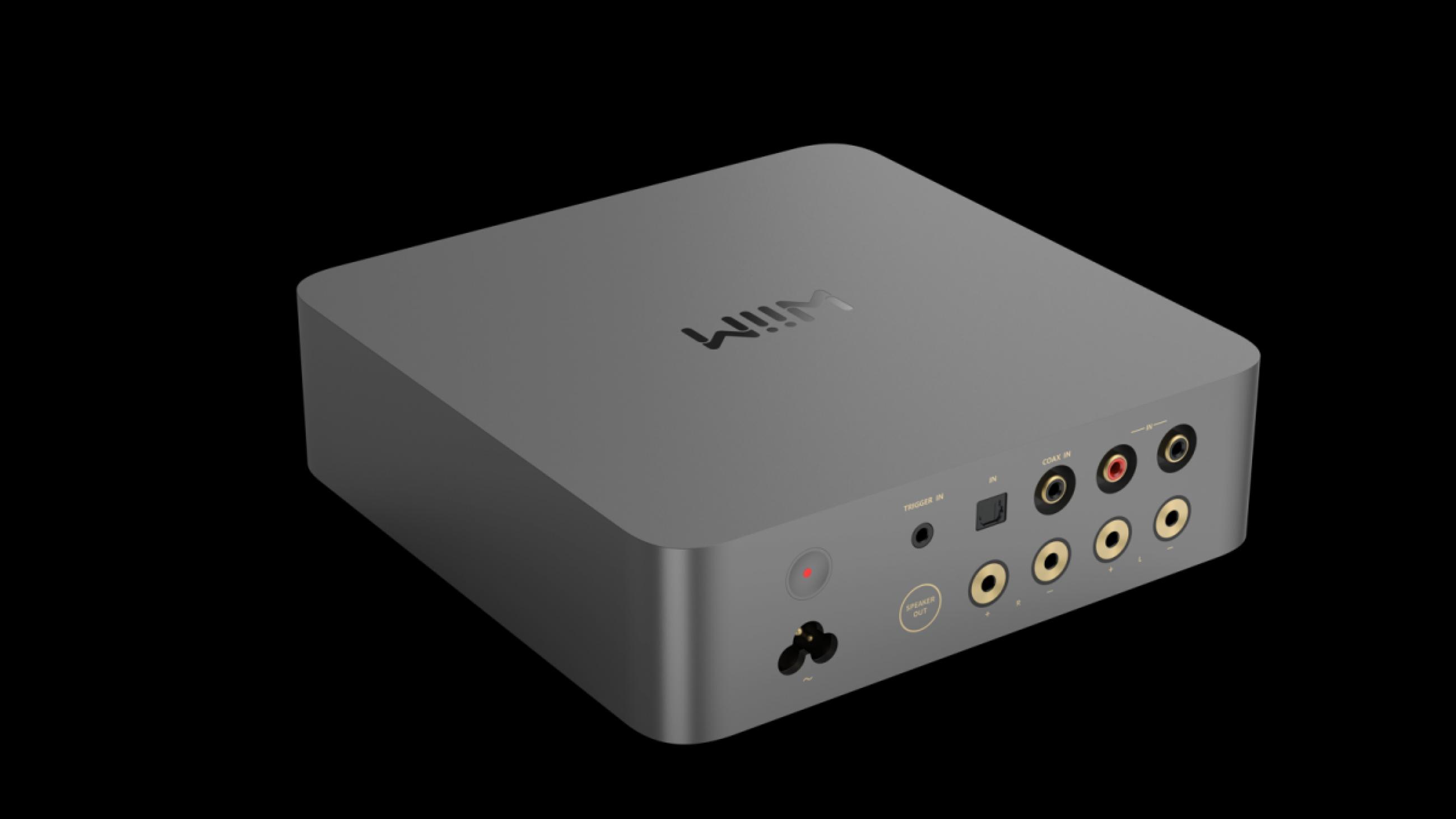 WiiM Vibelink AMP Space grau