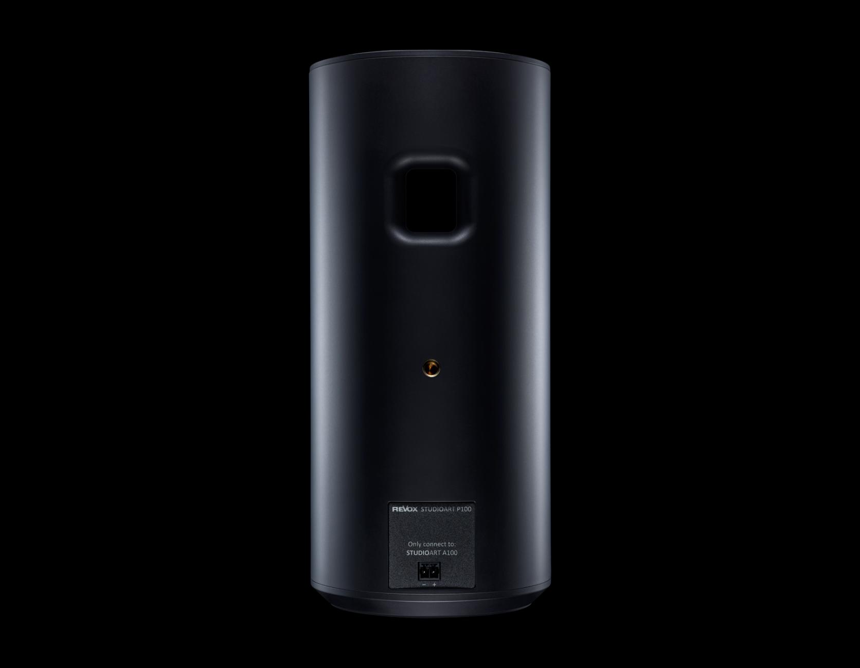 Revox STUDIOART P100 Room Speaker schwarz