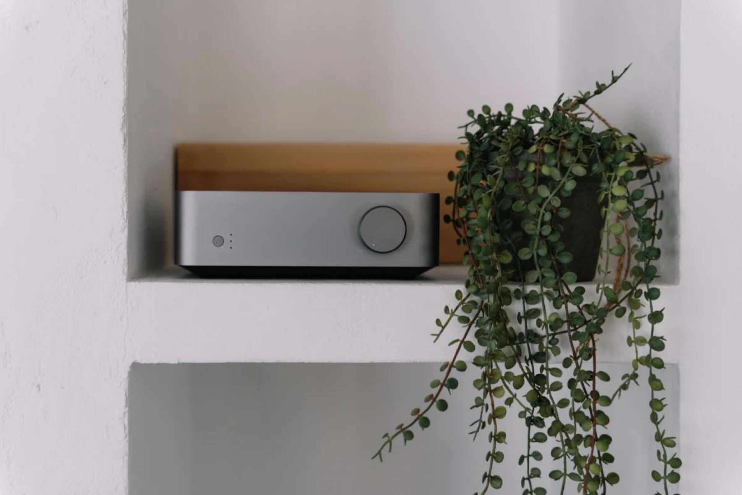 WiiM Vibelink AMP Space grau