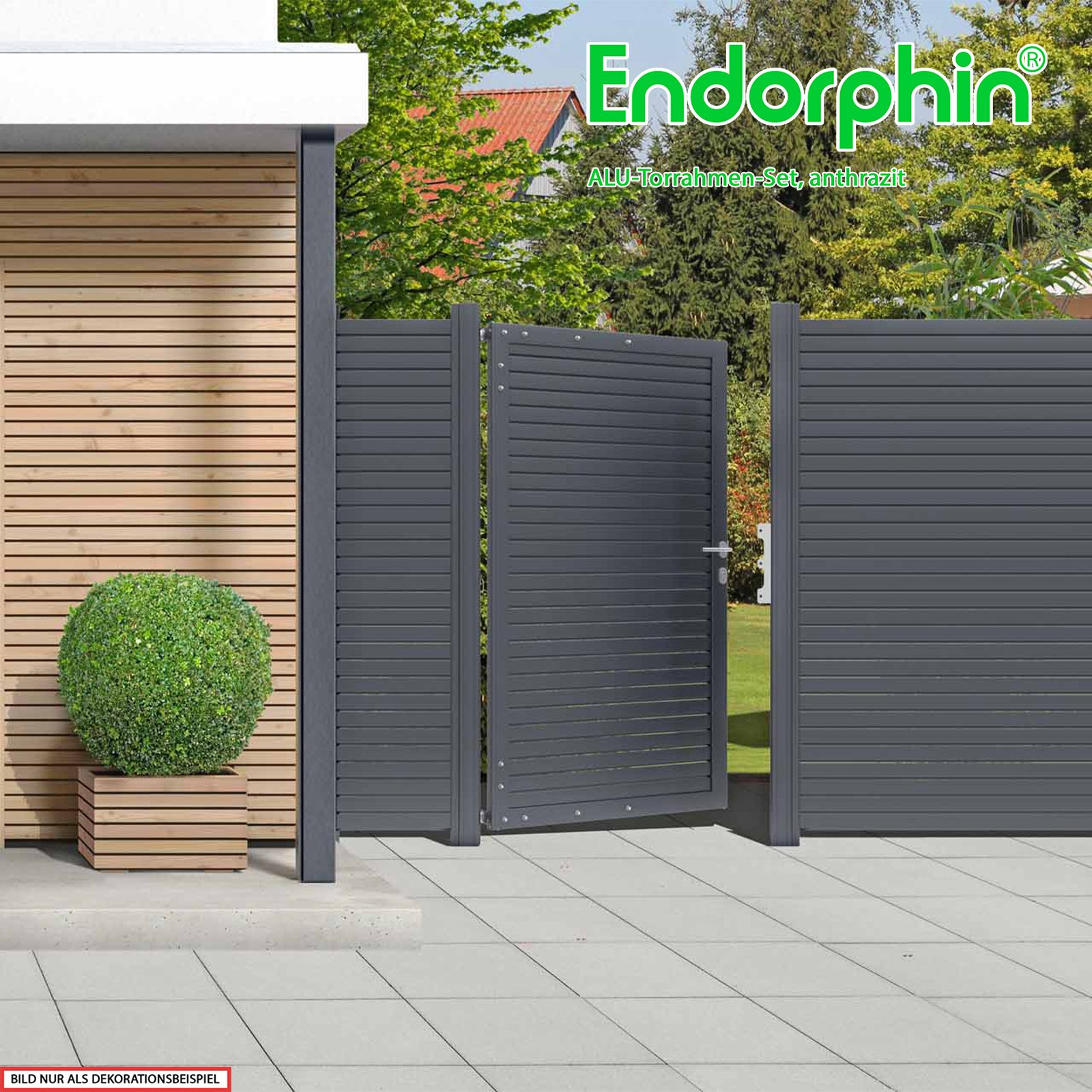 Endorphin Alu Torrahmen Set inkl Zubehör und verstärkten Pfosten 235cm in anthrazit