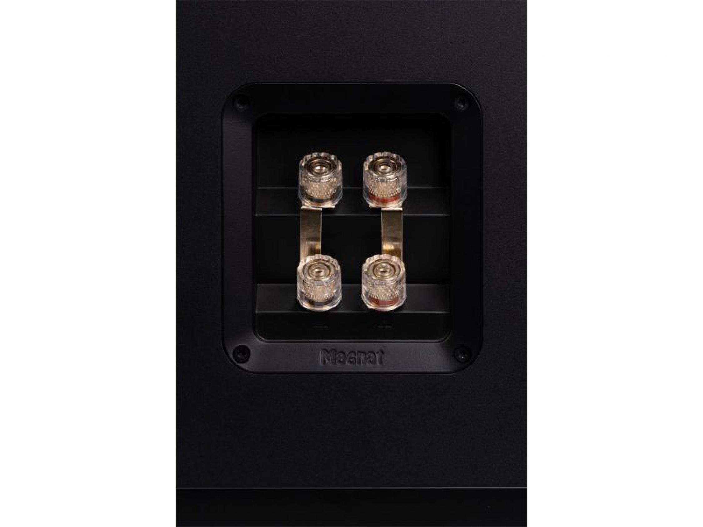 Magnat Signature 809 schwarz Stück Aktion