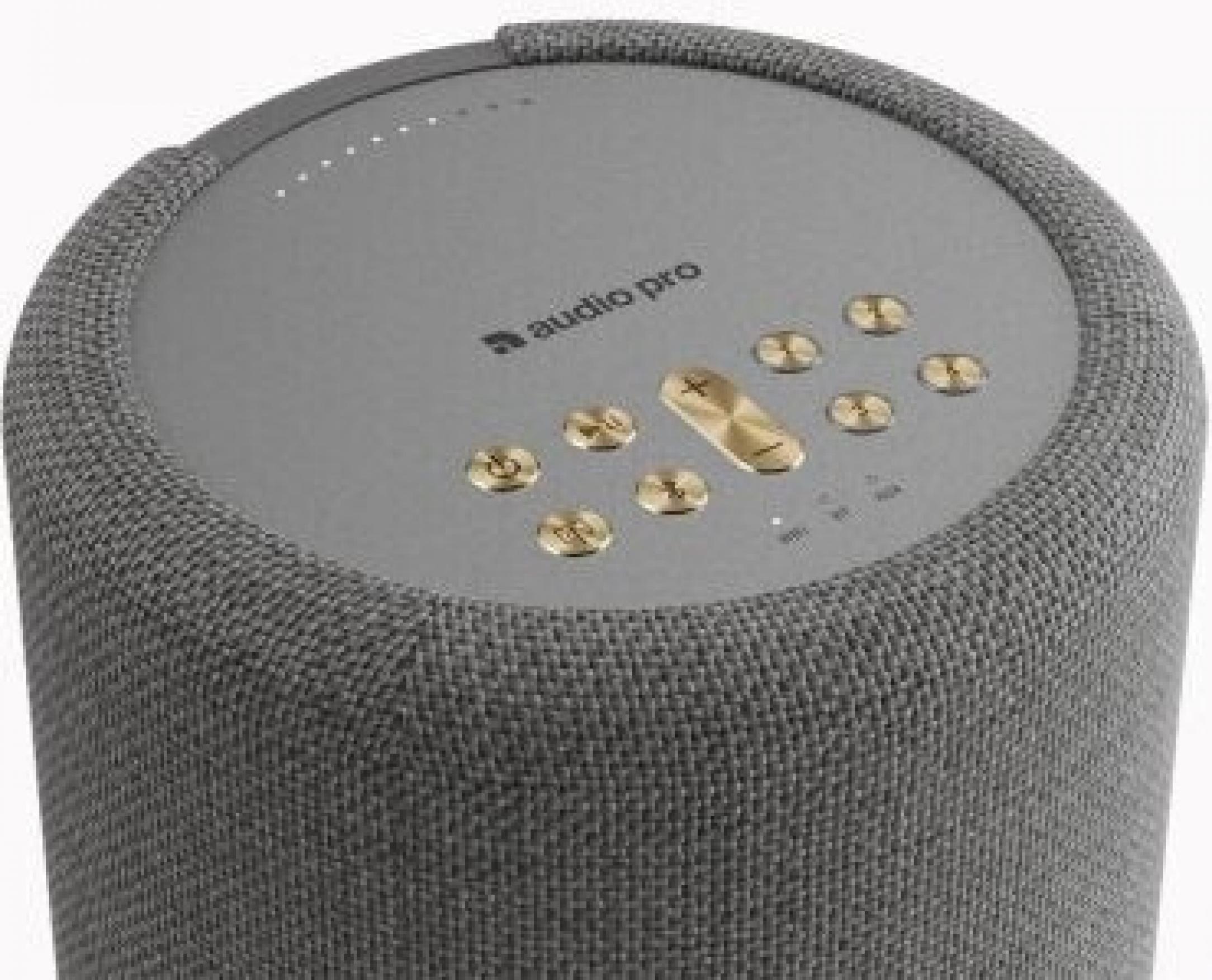 Audio Pro A10 MKII W Dunkelgrau