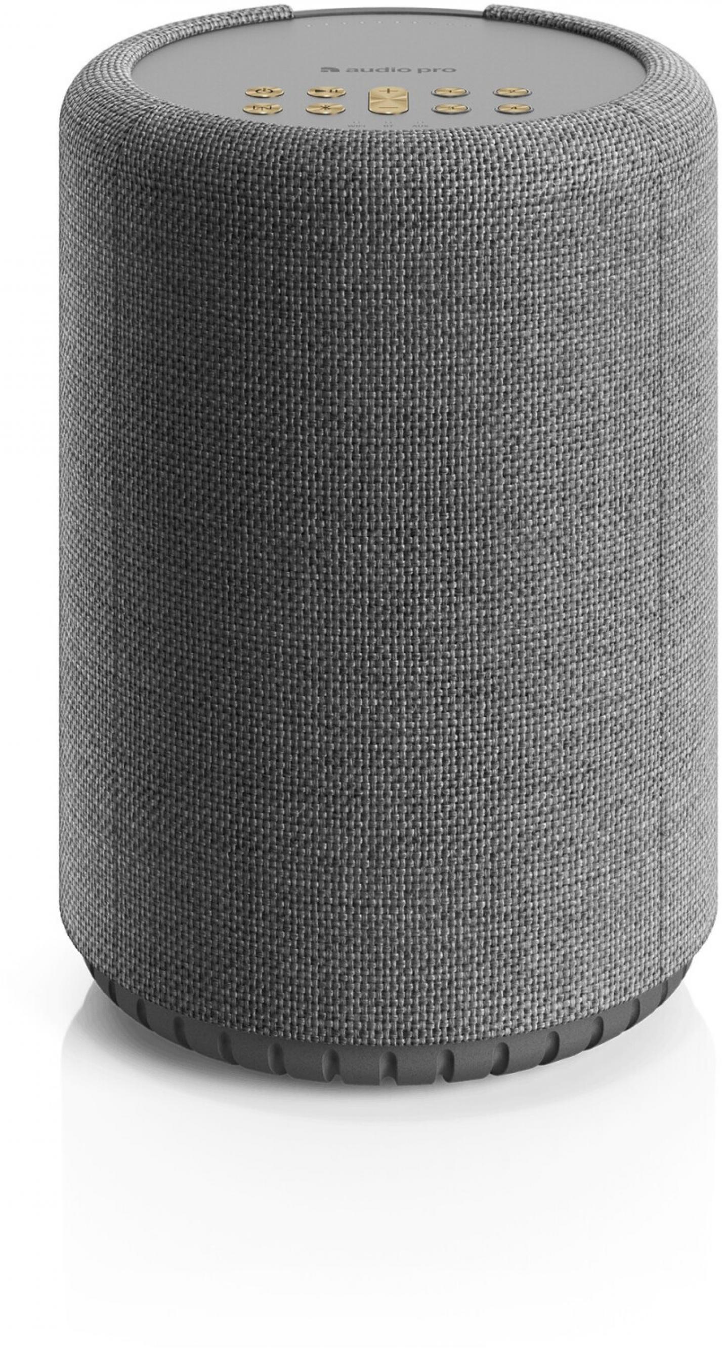 Audio Pro A10 MKII W Dunkelgrau