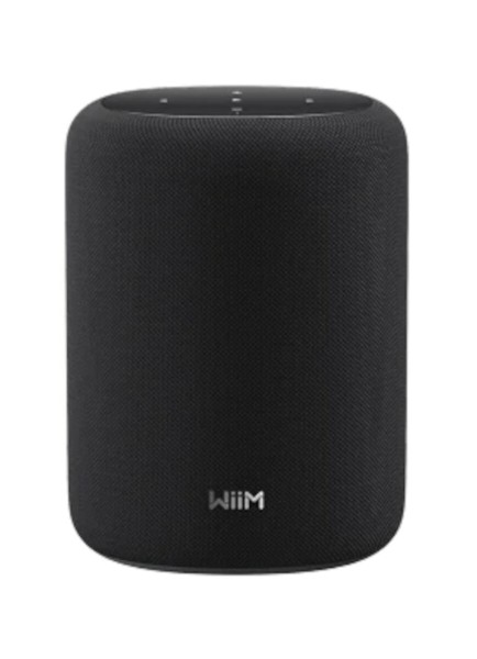 WiiM Sound lite black schwarz