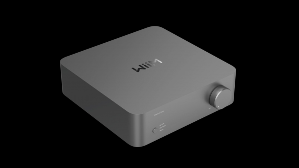 WiiM Vibelink AMP Space grau